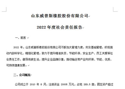 2022年度社会责任报告